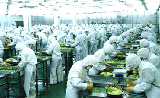 求索企業(yè)可持續(xù) 走進龍大，探訪生態(tài)農(nóng)業(yè)產(chǎn)業(yè)鏈中的農(nóng)產(chǎn)品生產(chǎn)