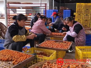氣象山歌 唱響八桂 廣西站專題——農(nóng)產(chǎn)品的生產(chǎn)與天時共舞
